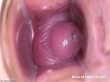 Look Inside Pussy - Cervix Videos