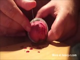 Piercing Throbbing Cock With Needle - Blood Videos