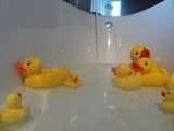  Nadia Takes A Bath With Some Rubber Duckies 